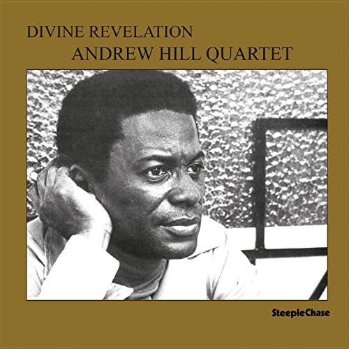 Devine Revelation [Vinyl LP] von Steeplechase (Fenn Music)