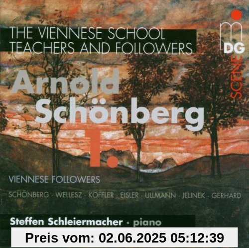 Die Wiener Schule Vol.1 von Steffen Schleiermacher