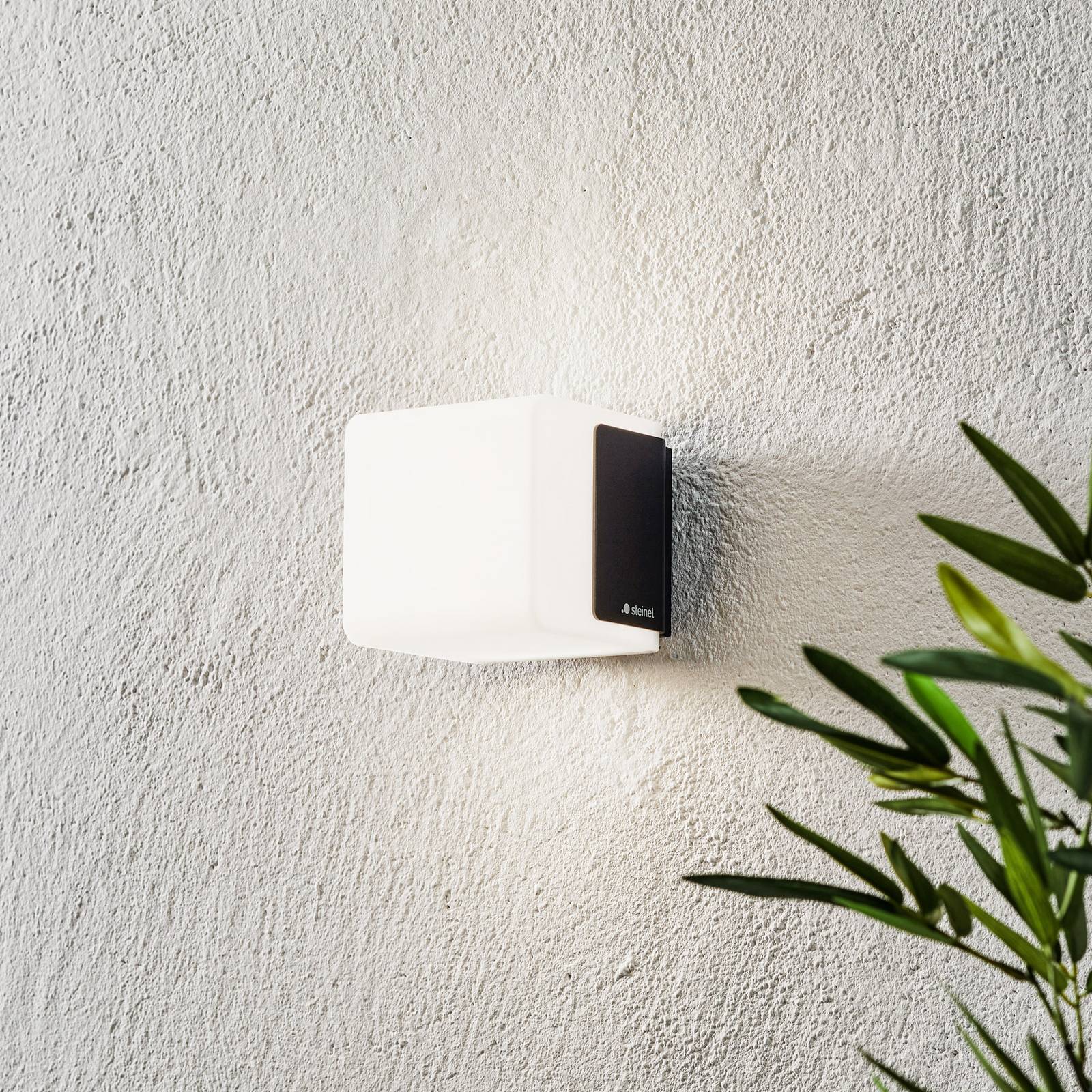 STEINEL L 835 C LED-Außenwandleuchte, anthrazit STEINEL L 835 C LED-Außenwandleuchte, anthrazit von Steinel