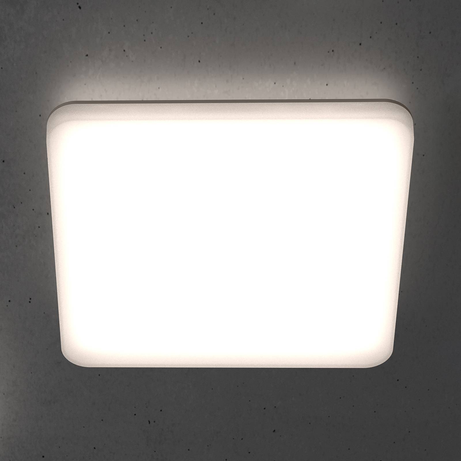 STEINEL RS PRO R20 Q basic LED-Deckenlampe 3.000K STEINEL RS PRO R20 Q basic LED-Deckenlampe 3.000K von Steinel