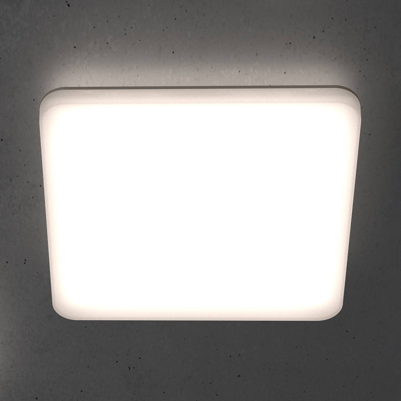 STEINEL RS PRO R20 Q basic LED-Deckenlampe 4.000K STEINEL RS PRO R20 Q basic LED-Deckenlampe 4.000K von Steinel