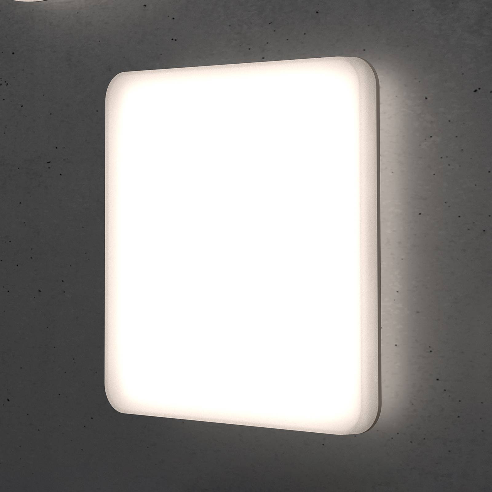 STEINEL RS PRO R20 Q plus SC LED-Deckenlampe 4000K STEINEL RS PRO R20 Q plus SC LED-Deckenlampe 4000K von Steinel