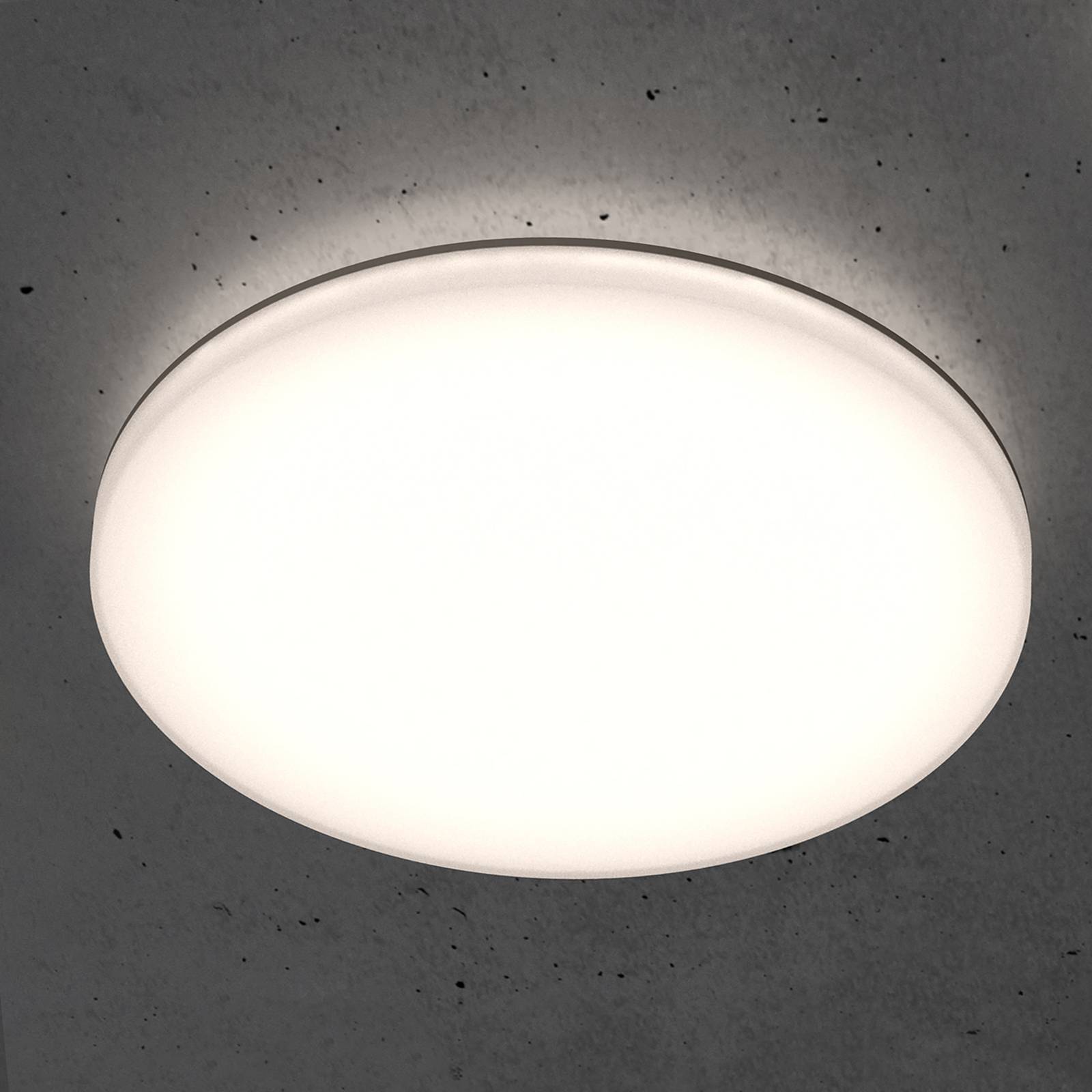 STEINEL RS PRO R20 basic SC LED-Deckenlampe 3.000K STEINEL RS PRO R20 basic SC LED-Deckenlampe 3.000K von Steinel