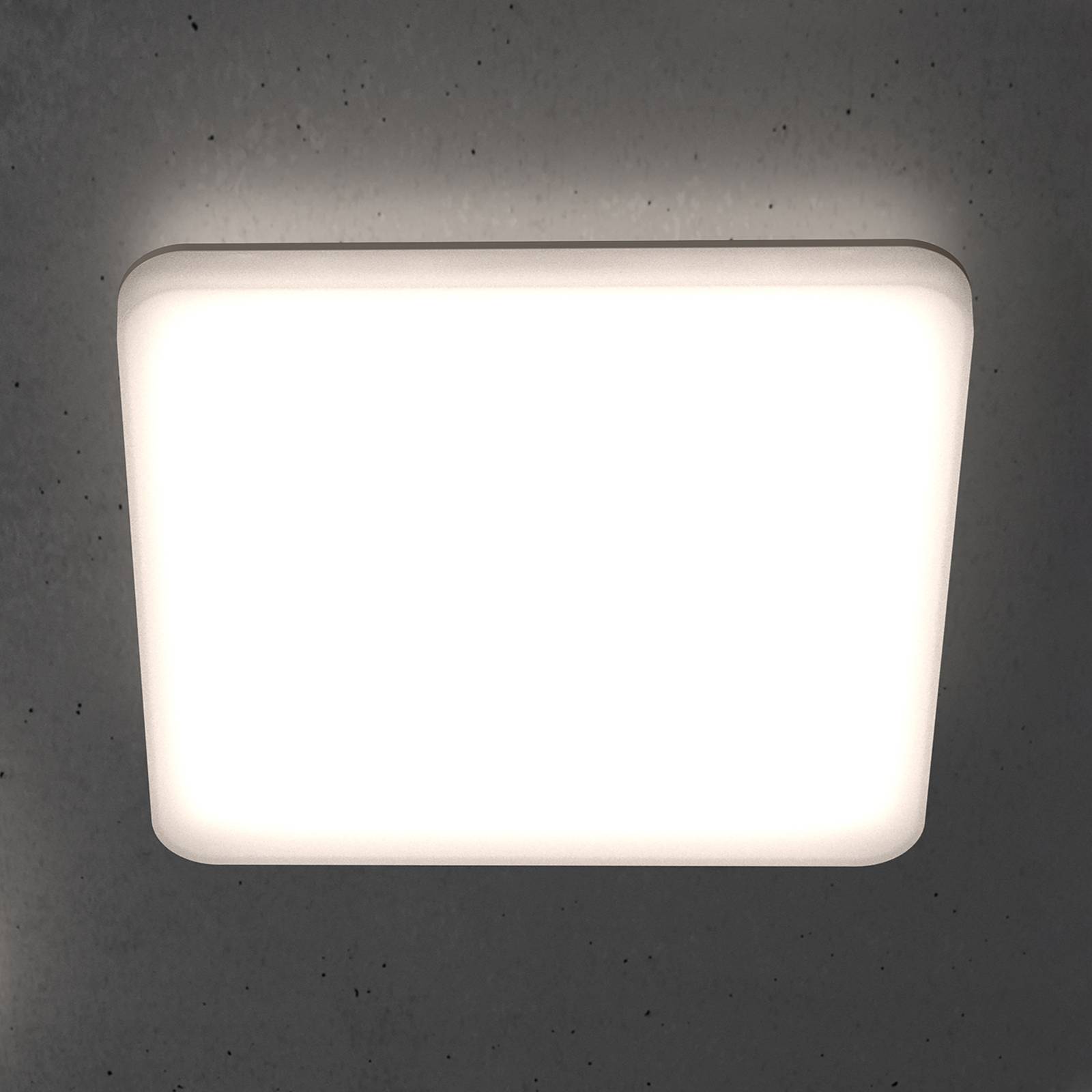 STEINEL RS PRO R30 Q basic LED-Deckenlampe 3.000K STEINEL RS PRO R30 Q basic LED-Deckenlampe 3.000K von Steinel