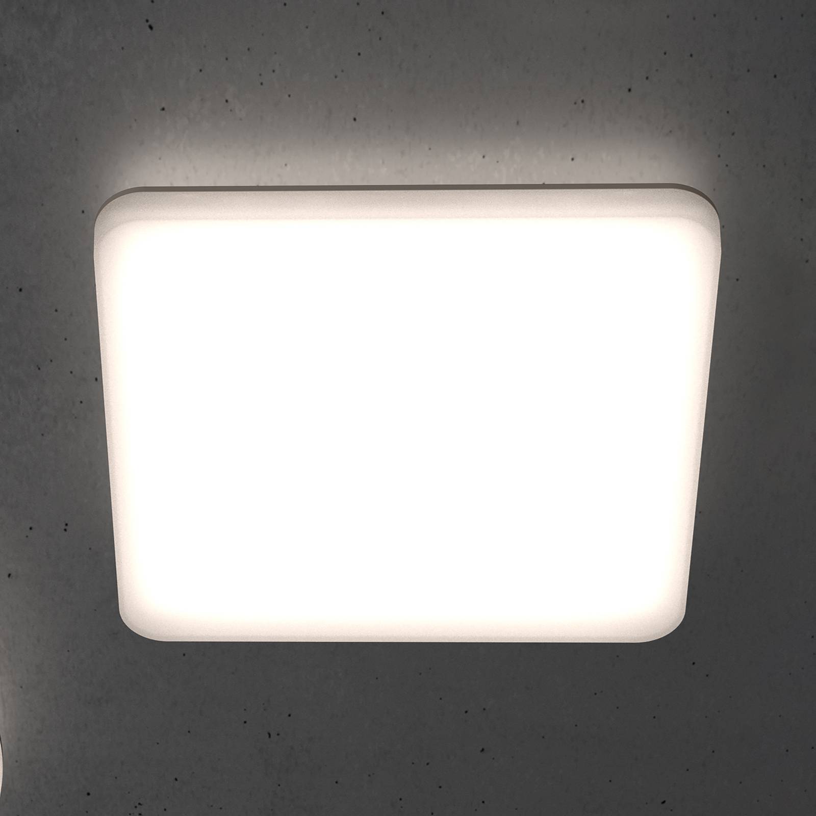STEINEL RS PRO R30 Q plus LED-Deckenlampe, 3.000 K STEINEL RS PRO R30 Q plus LED-Deckenlampe, 3.000 K von Steinel
