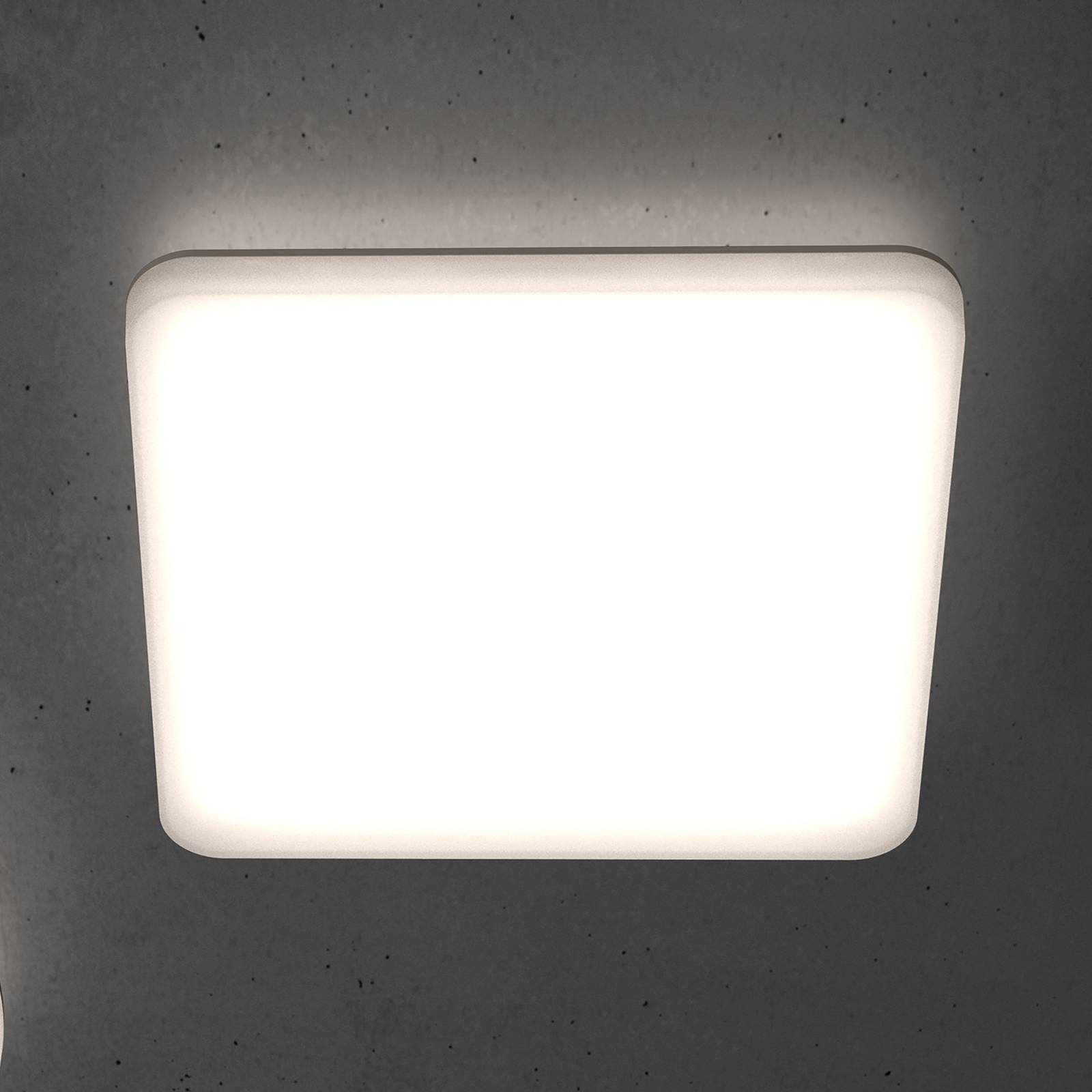 STEINEL RS PRO R30 Q plus LED-Deckenlampe, 4.000 K STEINEL RS PRO R30 Q plus LED-Deckenlampe, 4.000 K von Steinel