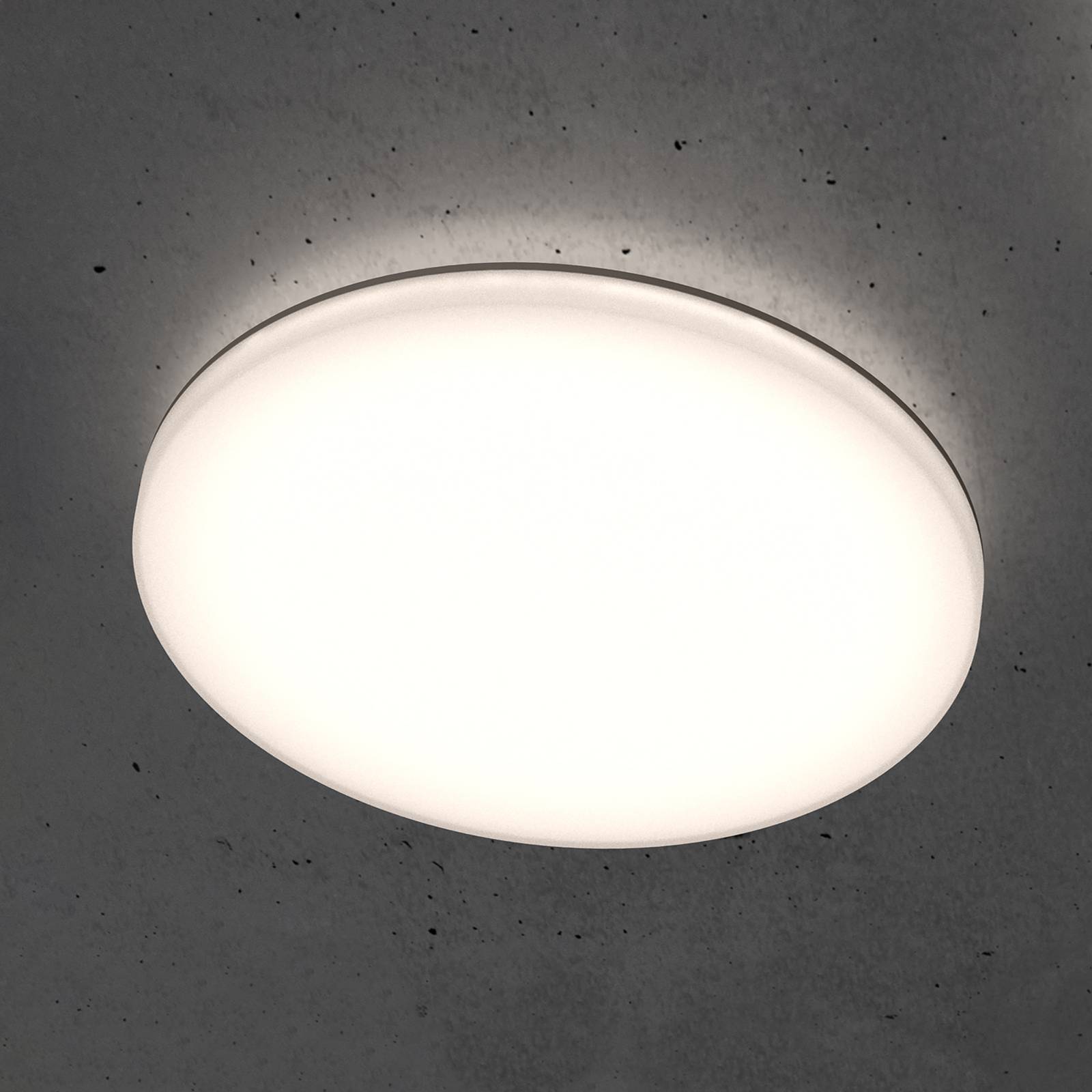 STEINEL RS PRO R30 basic SC LED-Deckenlampe 3.000K STEINEL RS PRO R30 basic SC LED-Deckenlampe 3.000K von Steinel