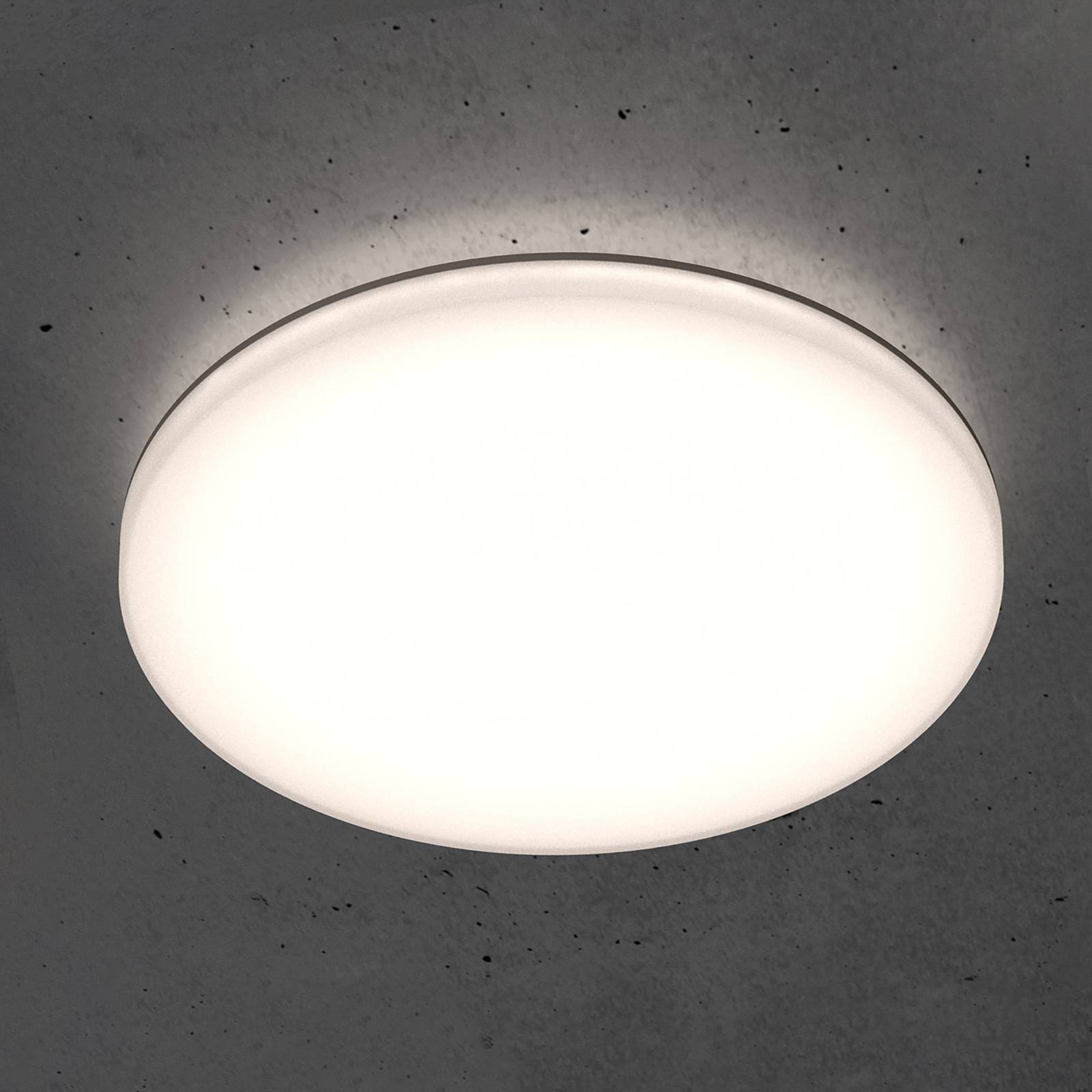 STEINEL RS PRO R30 basic SC LED-Deckenlampe 4.000K STEINEL RS PRO R30 basic SC LED-Deckenlampe 4.000K von Steinel
