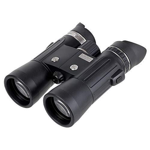 STEINER Fernglas Wildlife 10x42 - Qualitäts-Fernglas, 30 Jahre Garantie, kontrastreiche HD-Bilder, hohe Farbtreue, perfekt für Natur- und Tierbeobachtungen aus großen Distanzen von Steiner