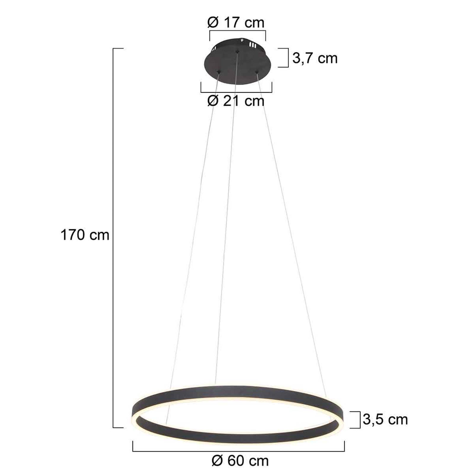 LED-Hängeleuchte Ringlux Ø 60cm 2-flammig schwarz von Steinhauer