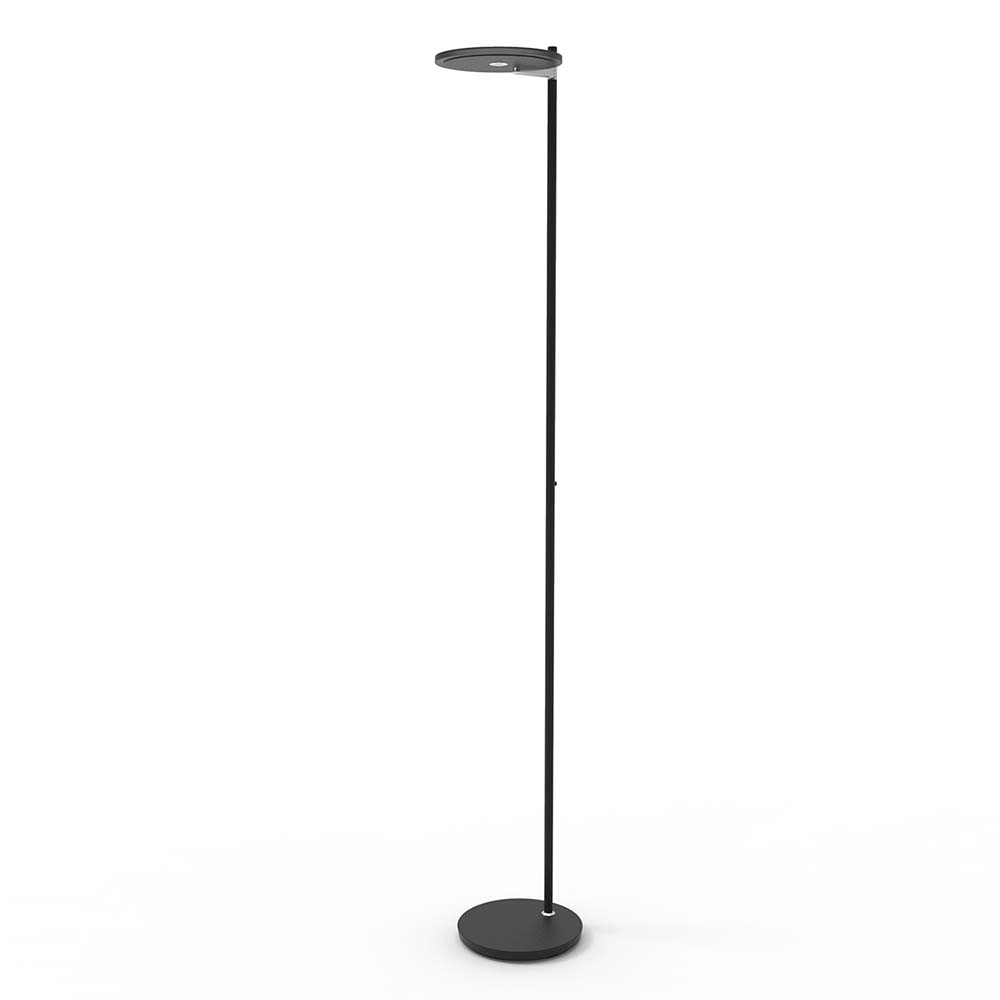 LED Stehleuchte, Touchdimmer, Glas, schwarz, H 187 cm von Steinhauer