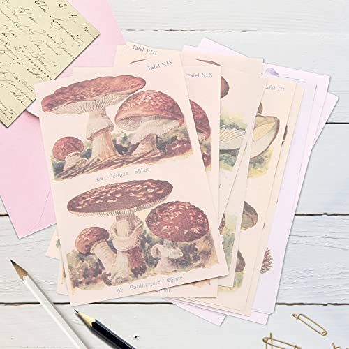 Steowsey 400 StüCk Scrapbooking Bedarf Tagebuch Schreiben Vintage Scrapbook Aufkleber Selbstklebende Sammelalbum Washi Aufkleber für Album Kunst von Steowsey