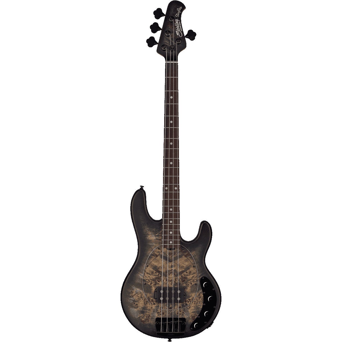Sterling by Music Man Ray34 Poplar Burl Transparent Black Satin Sterling by Music Man Ray34 Poplar Burl Transparent Black Satin von Sterling by Music Man