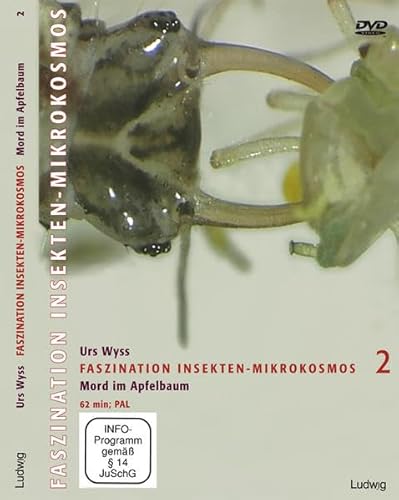 Faszination Insekten-Mikrokosmos, 1 DVD von Steve-Holger Ludwig