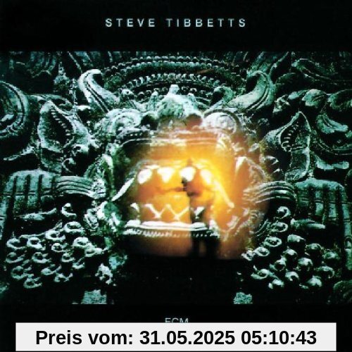 The Fall of Us All von Steve Tibbetts