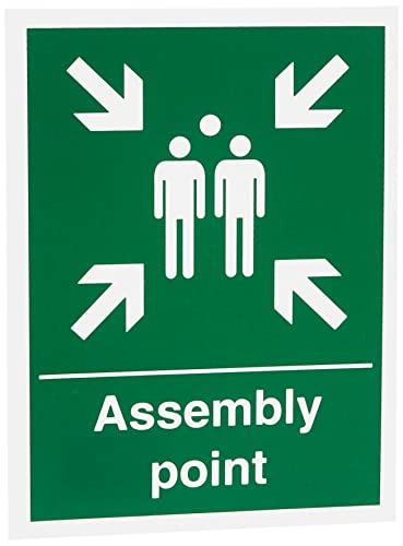 Seco Schild "Assembly Point", 150 mm x 200 mm, 1 mm, halbstarrer Kunststoff, grün von Stewart Superior