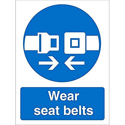 Seco Schild mit Aufschrift "Wear Seat Belts", 150 mm x 200 mm, 1 mm, halbstarrer Kunststoff von Stewart Superior