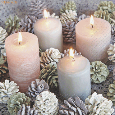 6 x Stewo Servietten 33x33cm VE=20 Stück Candela grau hell FSC 6 x Stewo Servietten 33x33cm VE=20 Stück Candela grau hell FSC von Stewo