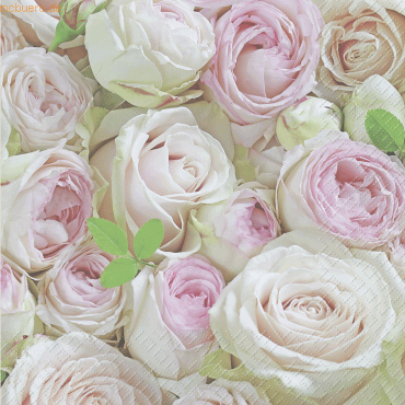 6 x Stewo Servietten 33x33cm VE=20 Stück Lova rosa hell FSC 6 x Stewo Servietten 33x33cm VE=20 Stück Lova rosa hell FSC von Stewo