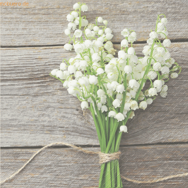 6 x Stewo Servietten 33x33cm VE=20 Stück Mady weiß FSC 6 x Stewo Servietten 33x33cm VE=20 Stück Mady weiß FSC von Stewo