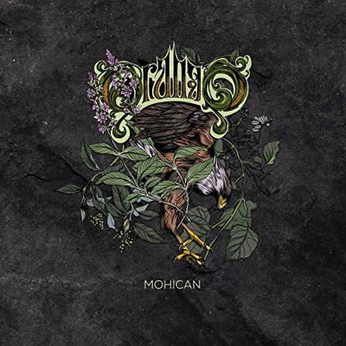 Mohican (180 Gr.Black Vinyl) [Vinyl LP] von Stickman Records / Indigo