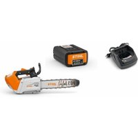 STIHL MSA 220 T 35 cm mit Akku AP 300 S und Ladegerät AL 101 von Stihl