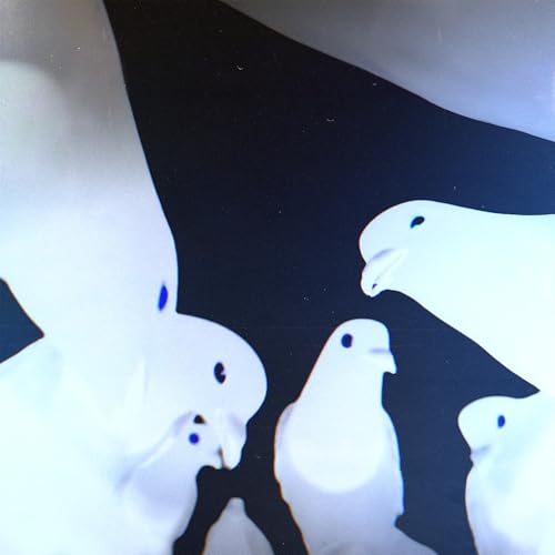 Friedrich [Vinyl LP] von Stimming Recordings
