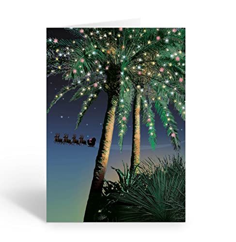 Stonehouse Collection Holiday Palm Santa Flyby Tropical Weihnachtskarten – 18 Weihnachtskarten und Umschläge (Standard) von Stonehouse Collection