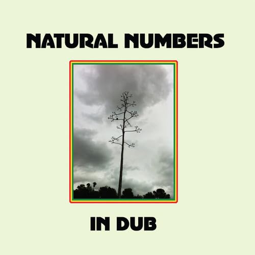 Natural Numbers in Dub [Vinyl LP] von Stones Throw