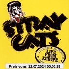 Live in Bonn 29.07.04 von Stray Cats