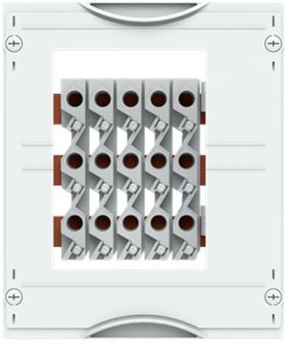 Striebel & John 2CPX041409R9999 Sammelschienen-Modul 1St. von Striebel & John