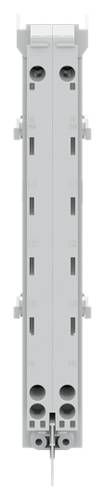 Striebel & John 2CPX054060R9999 Sammelschienenhalter 1St. von Striebel & John