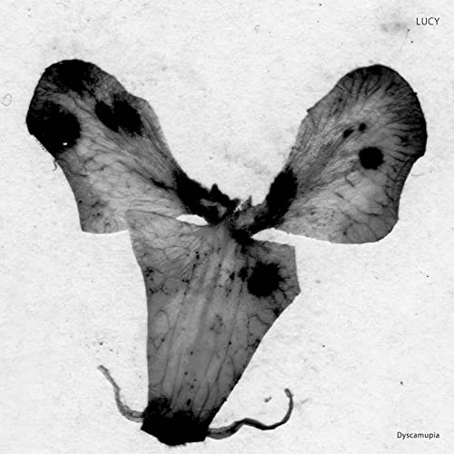 Dyscamupia [Vinyl LP] von Stroboscopic Artefacts