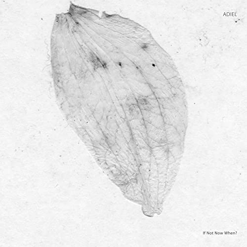 If Not Now When? [Vinyl LP] von Stroboscopic Artefacts