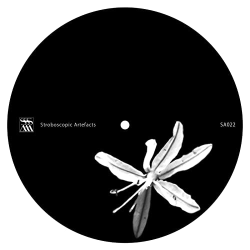 One Month Off [Vinyl LP] von Stroboscopic Artefacts