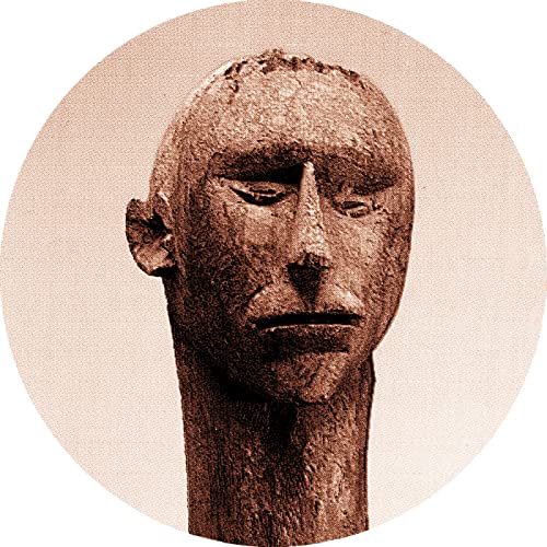 Seventeen Zero Four (10-inch Vinyl) [Vinyl LP] von Stroboscopic Artefacts