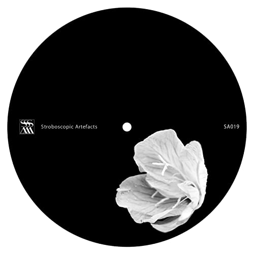 Untitled [Vinyl LP] von Stroboscopic Artefacts