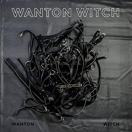 Wanton Witch (2lp+Mp3) [Vinyl LP] von Stroboscopic Artefacts