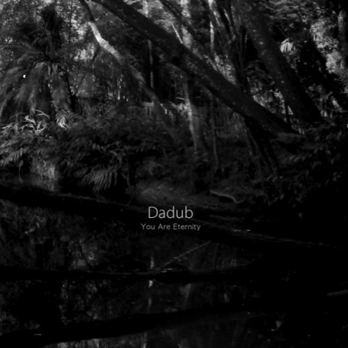 You Are Eternity by Dadub (2013) Audio CD von Stroboscopic Artefacts