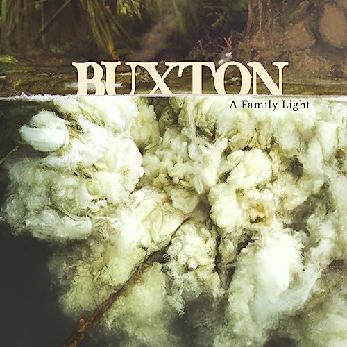 A Family Light [Vinyl LP] von Strolling Bones Records (H'Art)