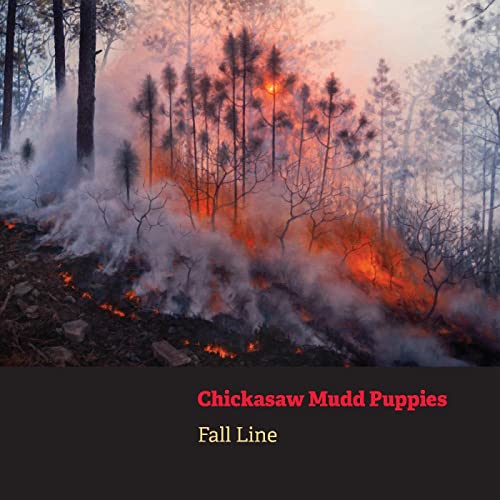 Fall Line [Vinyl LP] von Strolling Bones Records