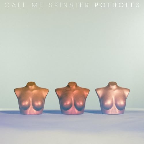 Potholes [Vinyl LP] von Strolling Bones Records