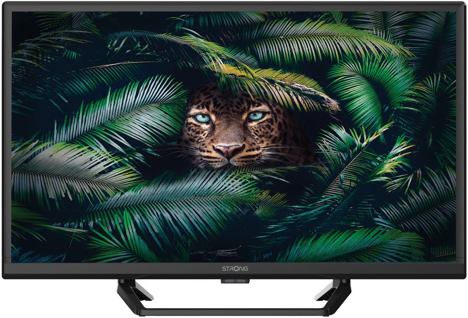 SRT 24HE4023C 60 cm (24") LCD-TV mit LED-Technik schwarz / E von Strong