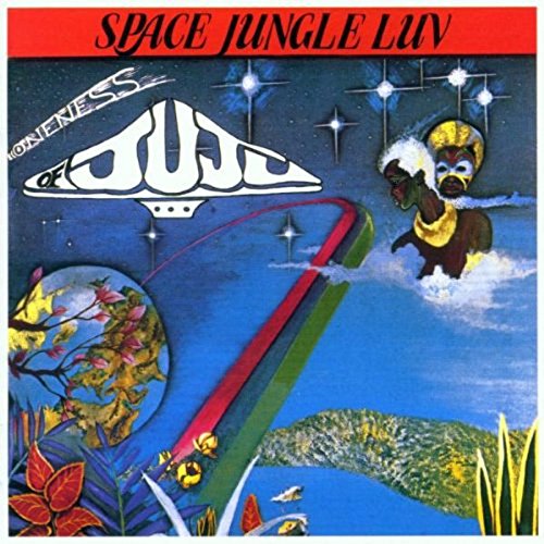 Space Jungle Luv [Vinyl LP] von Strut