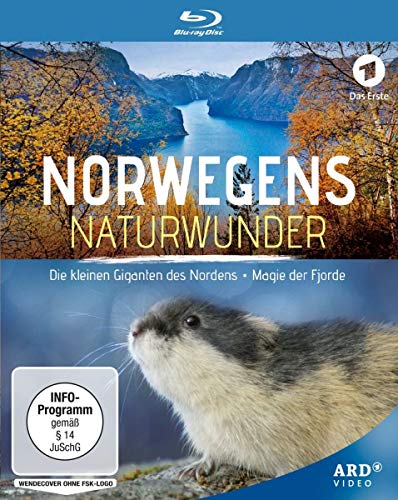 Norwegens Naturwunder: Die kleinen Giganten des Nordens / Magie der Fjorde [Blu-ray] von Studio Hamburg