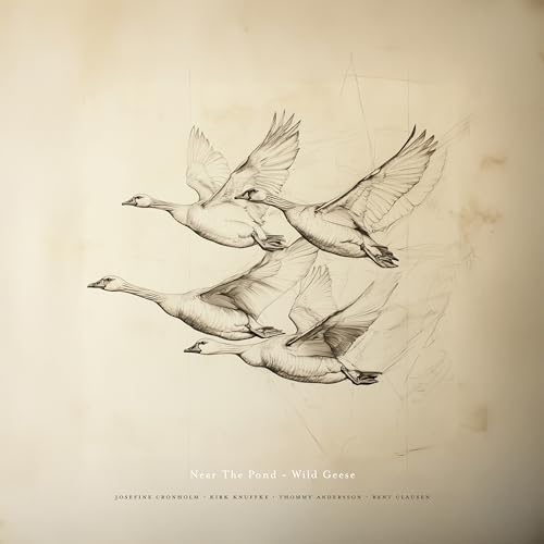 Wild Geese [Vinyl LP] von Stunt Records