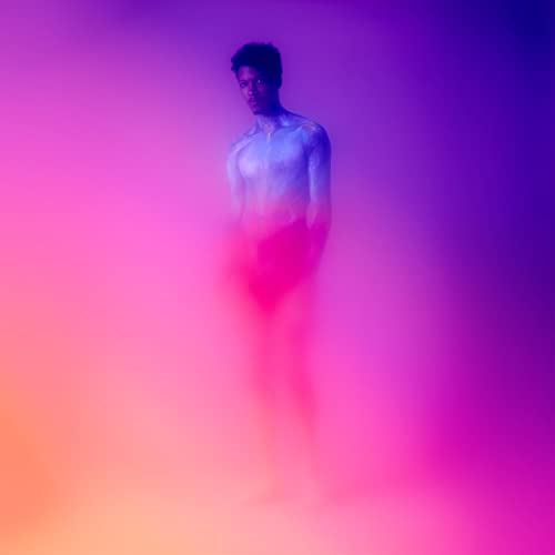 Songs in the Key of Solitude [Vinyl LP] von Styles Upon Styles
