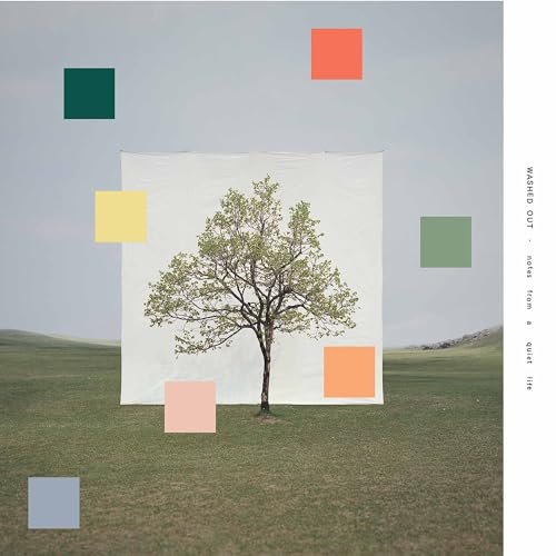 Notes from a Quiet Life (Yellowy Green Vinyl) [Vinyl LP] von Sub Pop