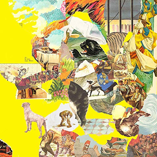 The Big Exercise (Yellow / Loser Edition) von Sub Pop