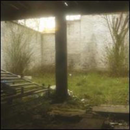 Slow Death Process [Vinyl LP] von Sub Rosa (Alive)